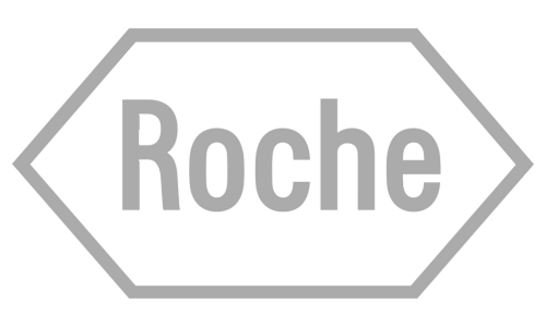 1 (500 x 200 px) (500 x 300 px)